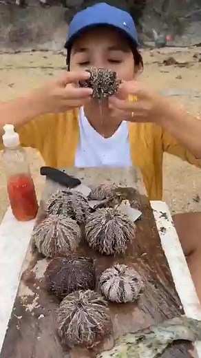 1K views | Eating Fresh Sea Urchin on the Shore ｜ Raw Uni Catch & Cook #nature #flyfishing #Shorts #florida #travel #fishing #adventure #explore #fish #ocean | Jimmie Dardar | Facebook