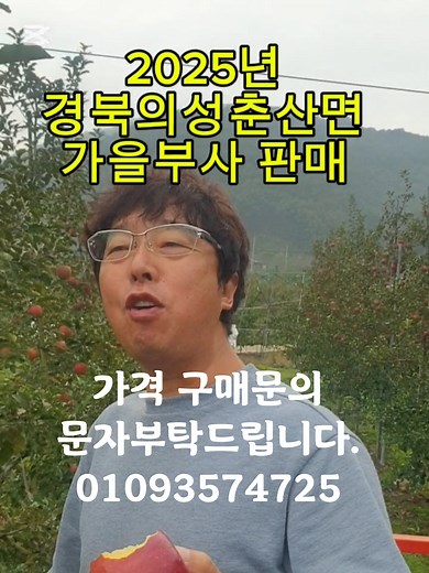 2025년 가을부사 사과 판매 시작