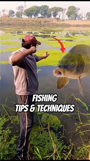 slingshot fishing tips and techniques #slingshot #fishing #shortsfeed