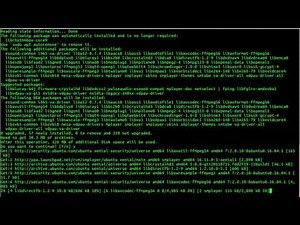 SMPlayer Media Player installation on ubuntu 16 Linux