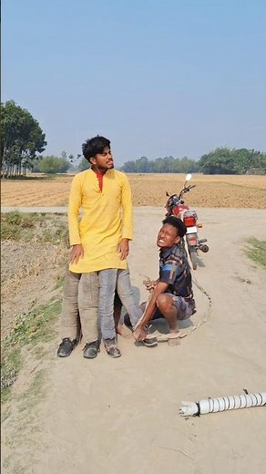 It stands on four legs 44