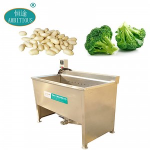[Hot Item] Water Bath Tunnel Type Pasteurizer Food Blaner Process Peanut Almonds Batch Blanching Machine