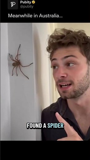 You found a big spider at home 🕷️😱 what you do? #spider #scary