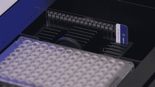 Simplify quality control of low-concentration genomic DNA. Discover how the Agilent High Sensitivity Genomic DNA ScreenTape assay for TapeStation systems delivers accurate results with minimal effort. Watch the demo and learn more on our website. https://explore.agilent.com/high-sensitivity-gDNA-assay?utm_source=linkedin&utm_medium=social&utm_campaign=DGG_25_NGSQCHS_OSM_WW-04&utm_term=video&utm_content=demo #Agilent #Genomics #TapeStation #NGSQC | Agilent Technologies
