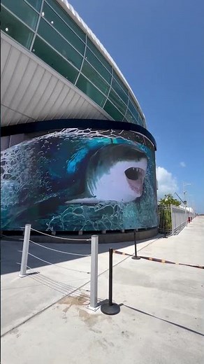 Insane 3D Shark Attack in Nassau Bahamas! | Virtual Screen Breaks & Water Floods Out #shark #sharks