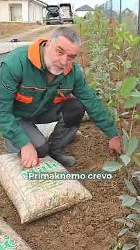 Kako razvući crevo kap po kap bez lomljenja?