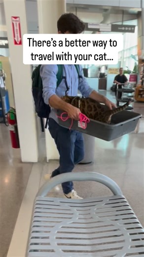 Albert & Mia | Cat Training & Adventures on Instagram: "Ever since I took the first olane with my cat Mia, one thing became clear: traveling with cats is possible, but chaotic. My cat meowed every time I’d close the carrier, disoriented and unable to see what was happening around her. So, I started designing walking her on a leash around the airport, instead of inside the carrier. I also started designing the carrier I needed but did not exist. Countless sketches, late nights, and Mia-approved t