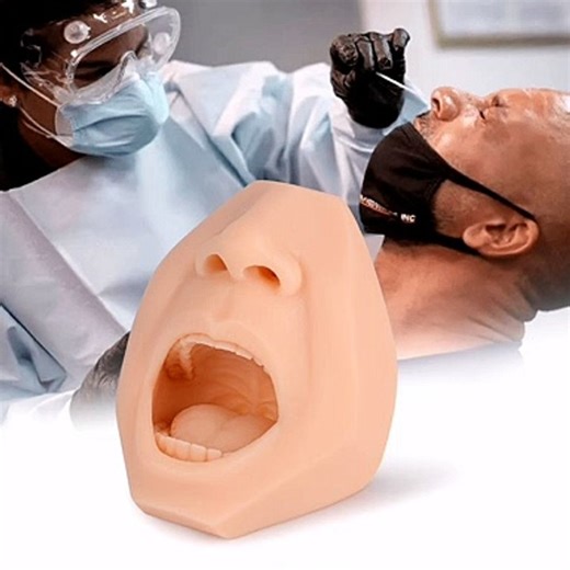 Throat & Nasal Swab Collection Training Model Preview
