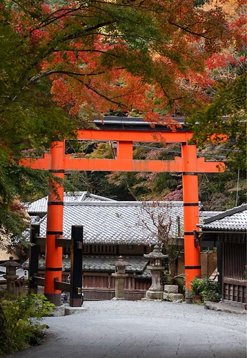 24 Hours in Kyoto: Must-See Attractions