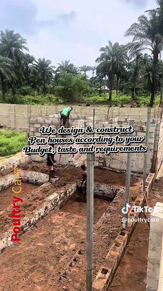 High-Capacity Poultry Farm Construction in Nigeria