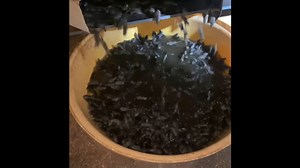 76K views · 305 reactions | Farmers across inland Australia have had no choice but to improvise to cope with the massive mouse plague. Read more: bit.ly/3bEZyTz | The Sydney Morning Herald | Facebook