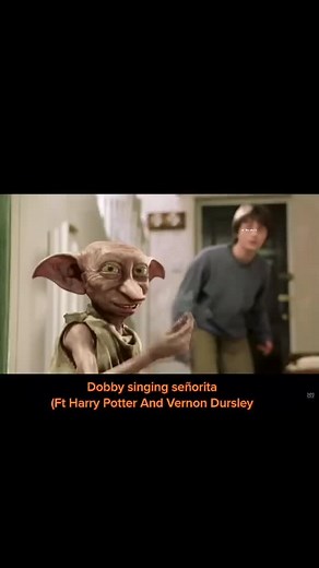 Hogwarts is my home on TikTok