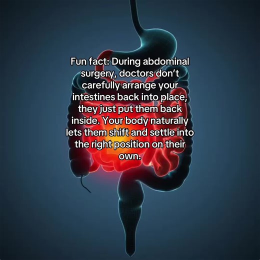 During surgery, intestines are placed back inside, then naturally shift and settle themselves correctly afterward. 🤩#humanbody #fyppppppppppppppppppppppp #creepy #sciencefacts #humanbodyfacts
