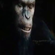 "Physical is over and you'll own nothing aight?" - Video
