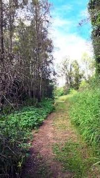 Julio Iglesias Una Palona Blanca #shorts.