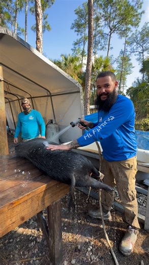 Asiel cabrera on Instagram: "Hog processing • • • #thatshowwedo #hogprocessing #familyfarm #cookout #familycookout #backyardcooking"