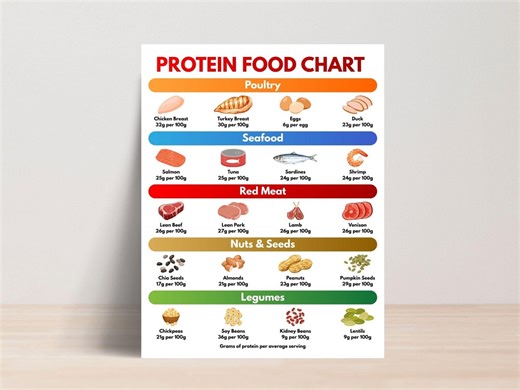 High Protein Food List, Protein Chart, High Protein Food Chart, Protein List, Protein Source List, Protein Diet, Protein Food Chart, PDF - Etsy Canada