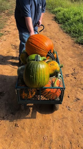 Halloween Decor Ideas for a Spooky Atmosphere