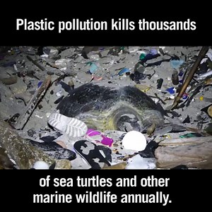 103K views · 546 reactions | Did you know that approximately 1.4...