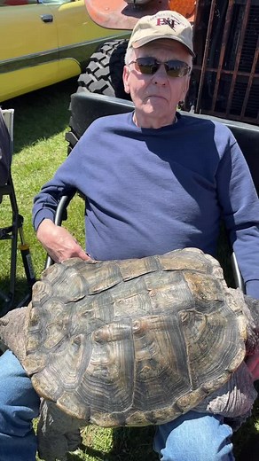 Michigan Commercial Swap Car Show featuring Snappy the Snapping Turtle