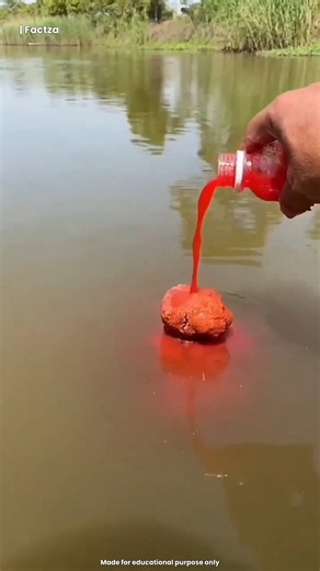 Fishermen Use This Strange Red Liquid #shorts #facts