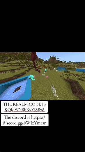 Hop on and join the new realm ranked plugin with Java PvP made for bedrock people #realm #minecraft