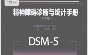 DSM5电子书中英文