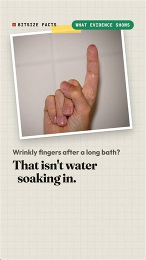 Why do fingers wrinkle in water? #ScienceFacts #DidYouKnow