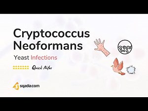 Yeast Infections - Cryptococcus Neoformans