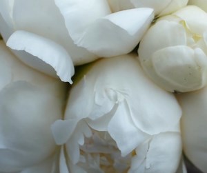 #IYKYK 😍 These beauties are back (and selling fast). Grab yours at kennicott.com or check your local branch for availability. | Kennicott