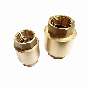 [Hot Item] Brass Non Return Vertical Spring Check Valve with Plastic Core