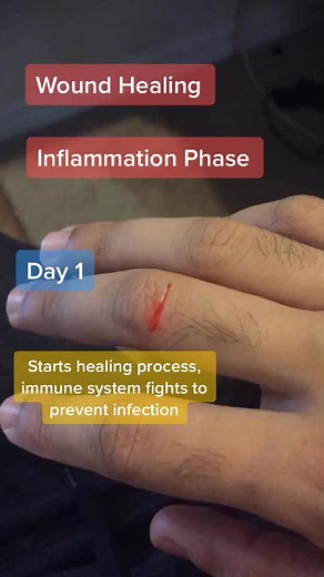 Christian Niel on TikTok