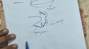 1.5K views · 197 reactions | Mouth Anatomy Part-2 (C) | Up Teaching Academy | Facebook