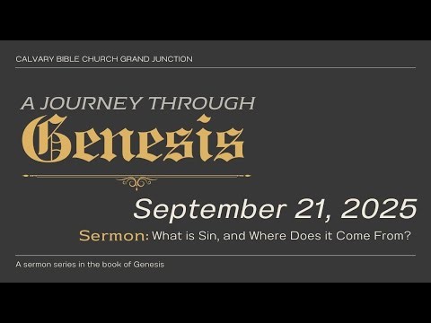 What is Sin, and Where Does it Come From?