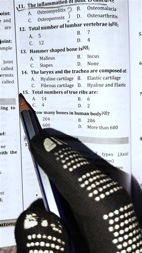 Understanding True Ribs in Human Anatomy