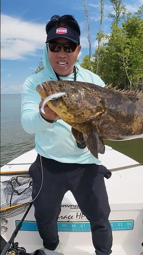 Sight fishing GROUPER?!🤯