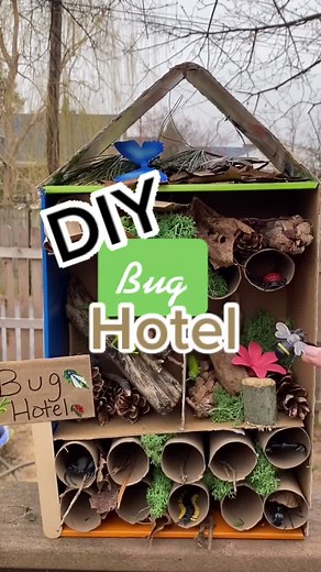 DIY Bug Hotel Craft: Fun Science Activity for Kids