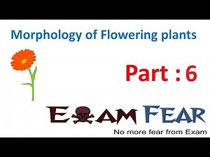 Respiration and Support: Root Modification Video Lecture - NEET