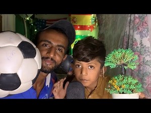 ASMR Gull Collab With ASMR Adi