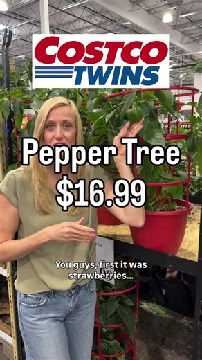 First it was strawberries 🍓 and now it’s peppers 🫑 we love you! #costco #costcofinds #garden #gardening #plants