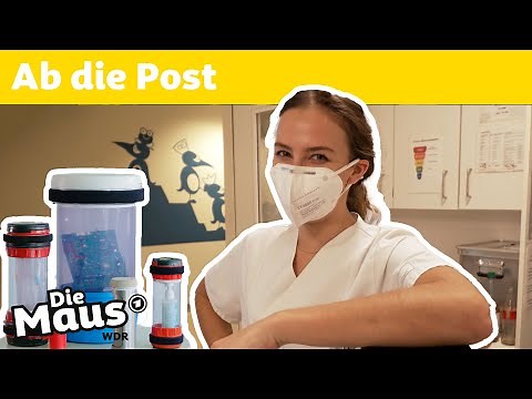 Wie funktioniert Rohrpost? | DieMaus | WDR