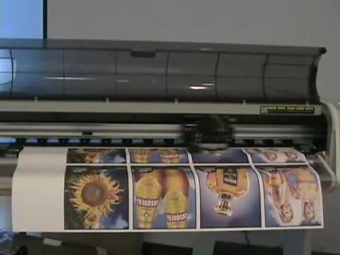 Dye Sublimation Process