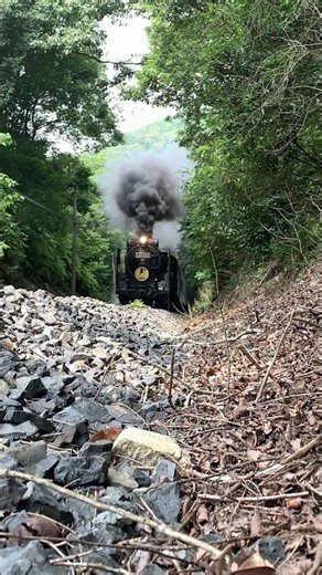 地表目線のＳＬやまぐち号 #蒸気機関車 #鉄道 #グラウンドアイ
