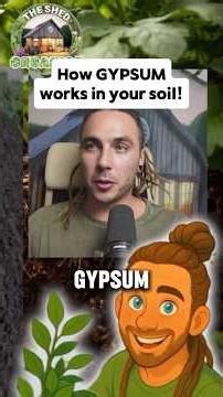 Understanding the clay breaker - GYPSUM 101!