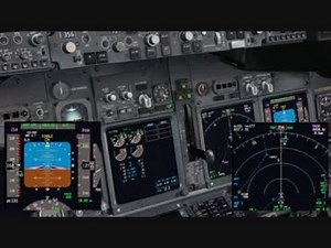 【FSX】台風18号直撃中のセントレアに着陸を試みる