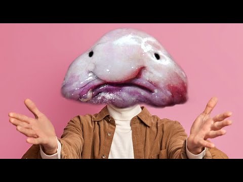The Blobfish is the ugliest animal in the world
