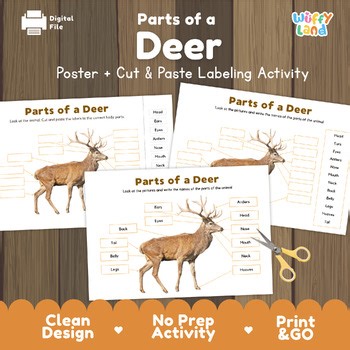 Parts of a Deer Diagram | Animal Anatomy Cut and Paste Labeling Activity