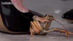 Milena Crush Goddess Crawdad Crush Bug Crushed