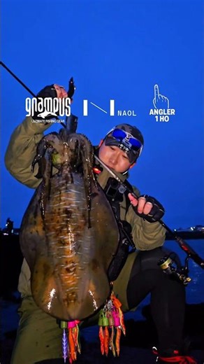 (4/18) 2.5kg 무늬오징어 랜딩🔥🔥 #앵글러1호 #에깅 #제주도낚시 #무늬오징어낚시 #squidfishing #エギング #나올에기#그램퍼스에깅