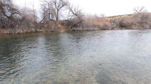 I love finding the less obvious spots that hold fish. This river has a bunch of much more obvious winters holding water, it as I was walking up this glide I noticed a broad depression in the middle of it. The fish obviously knew it was there too! Tacticalflyfisher.com | Tactical Fly Fisher